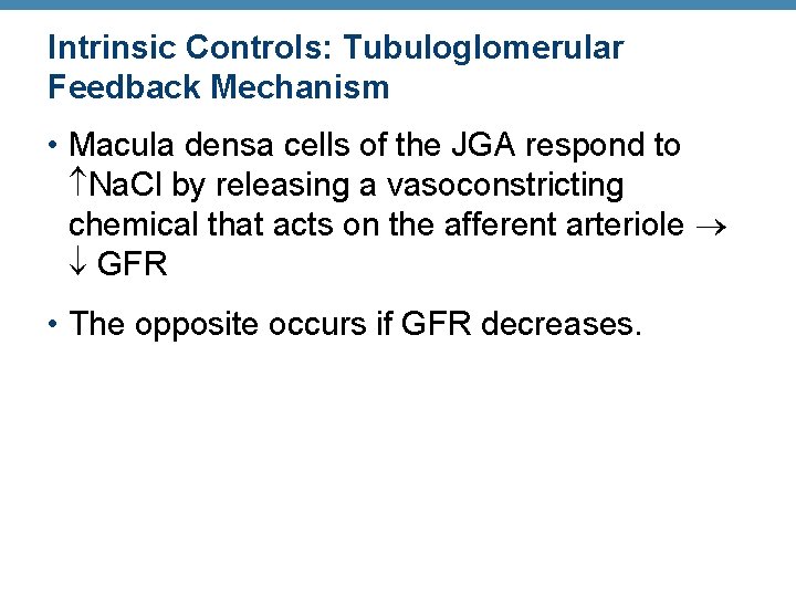Intrinsic Controls: Tubuloglomerular Feedback Mechanism • Macula densa cells of the JGA respond to