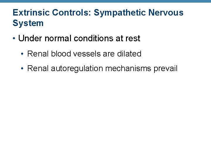 Extrinsic Controls: Sympathetic Nervous System • Under normal conditions at rest • Renal blood