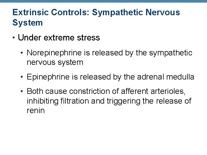 Extrinsic Controls: Sympathetic Nervous System • Under extreme stress • Norepinephrine is released by