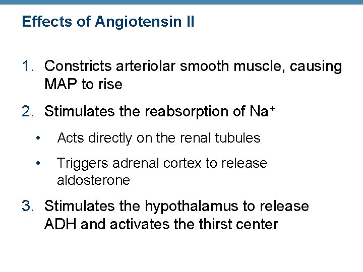 Effects of Angiotensin II 1. Constricts arteriolar smooth muscle, causing MAP to rise 2.