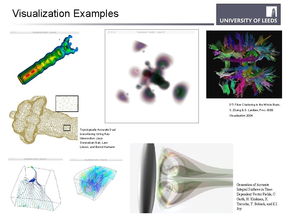 Visualization Examples DTI Fiber Clustering in the Whole Brain, S. Zhang & D. Laidlaw,