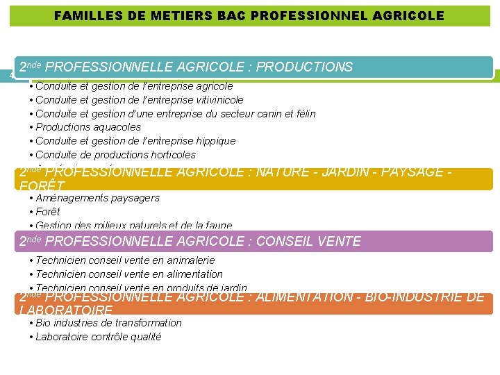 FAMILLES DE METIERS BAC PROFESSIONNEL AGRICOLE 2 nde PROFESSIONNELLE AGRICOLE : PRODUCTIONS 45 •