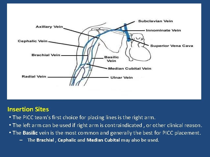 Insertion Sites • The PICC team’s first choice for placing lines is the right
