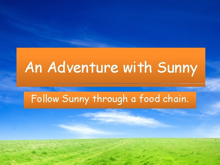 An Adventure with Sunny Follow Sunny through a food chain. 