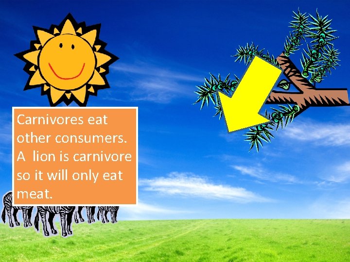 Carnivores eat other consumers. A lion is carnivore so it will only eat meat.