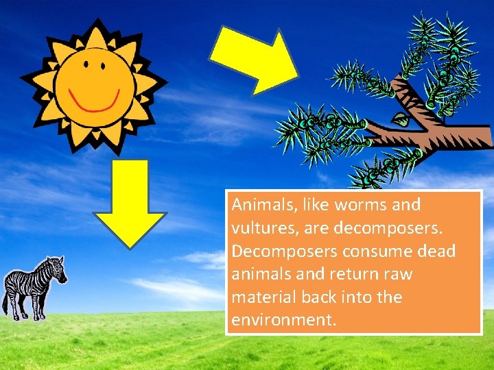 Animals, like worms and vultures, are decomposers. Decomposers consume dead animals and return raw