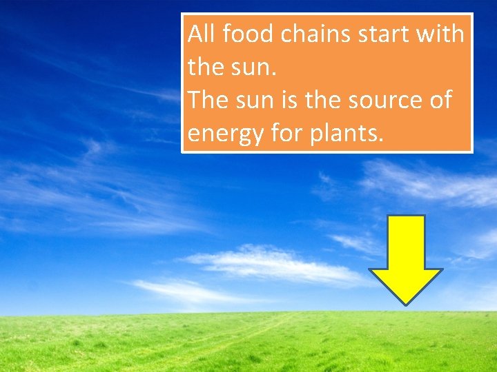 All food chains start with the sun. The sun is the source of energy