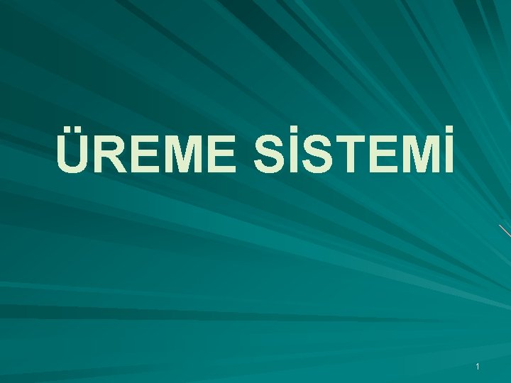 ÜREME SİSTEMİ 1 