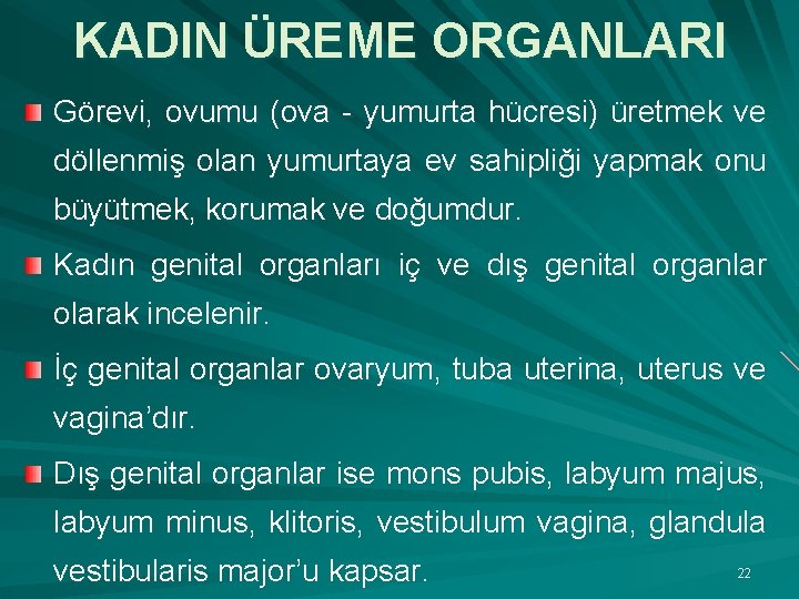 KADIN ÜREME ORGANLARI Görevi, ovumu (ova - yumurta hücresi) üretmek ve döllenmiş olan yumurtaya