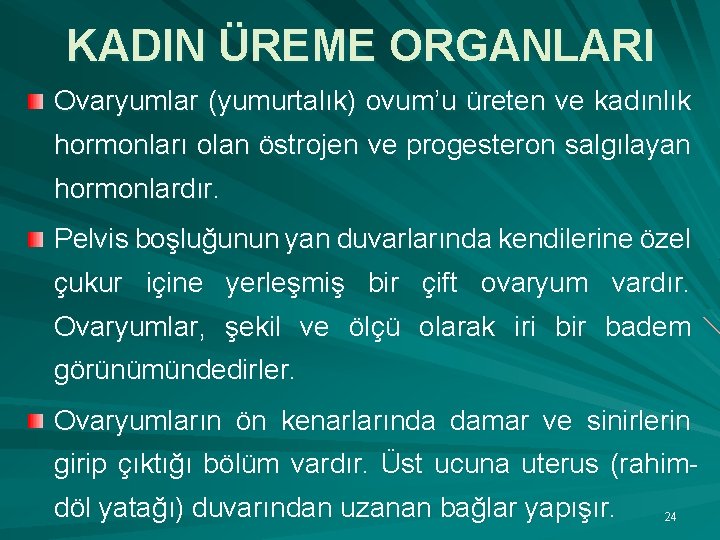 KADIN ÜREME ORGANLARI Ovaryumlar (yumurtalık) ovum’u üreten ve kadınlık hormonları olan östrojen ve progesteron