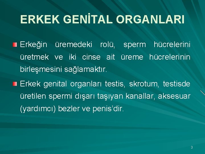 ERKEK GENİTAL ORGANLARI Erkeğin üremedeki rolü, sperm hücrelerini üretmek ve iki cinse ait üreme