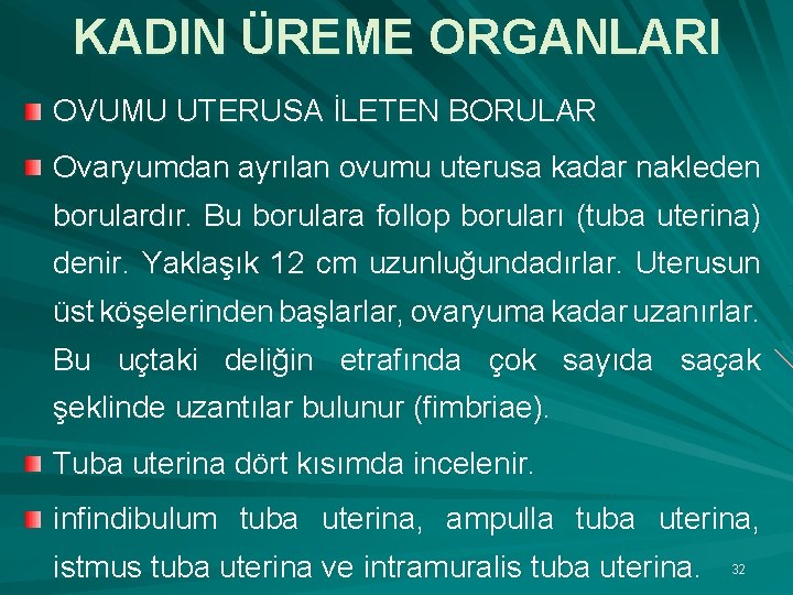 KADIN ÜREME ORGANLARI OVUMU UTERUSA İLETEN BORULAR Ovaryumdan ayrılan ovumu uterusa kadar nakleden borulardır.