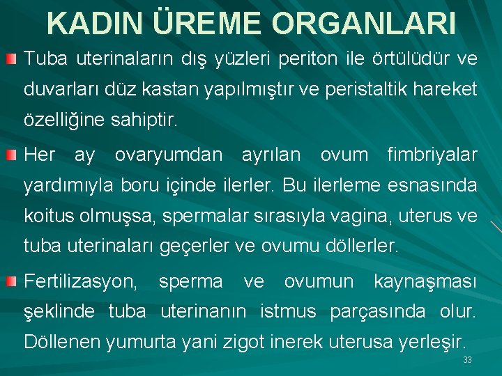 KADIN ÜREME ORGANLARI Tuba uterinaların dış yüzleri periton ile örtülüdür ve duvarları düz kastan