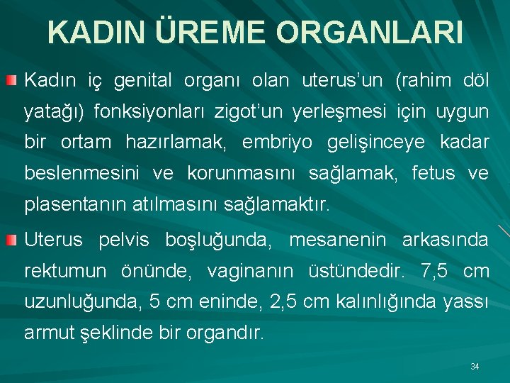 KADIN ÜREME ORGANLARI Kadın iç genital organı olan uterus’un (rahim döl yatağı) fonksiyonları zigot’un