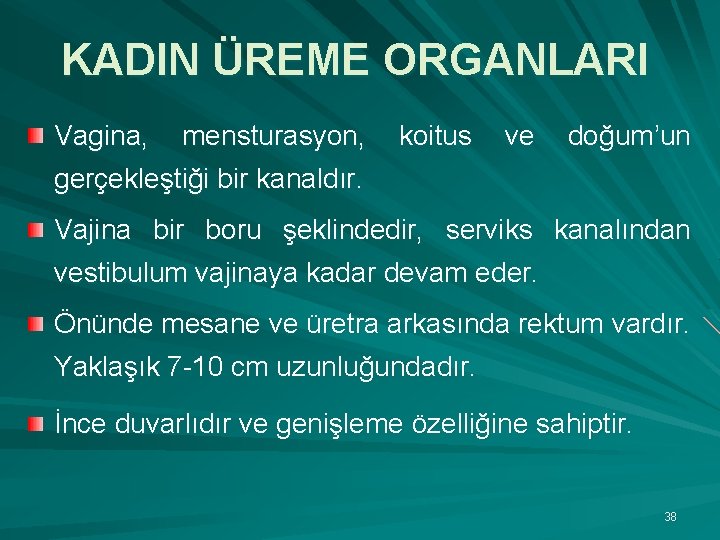 KADIN ÜREME ORGANLARI Vagina, mensturasyon, koitus ve doğum’un gerçekleştiği bir kanaldır. Vajina bir boru