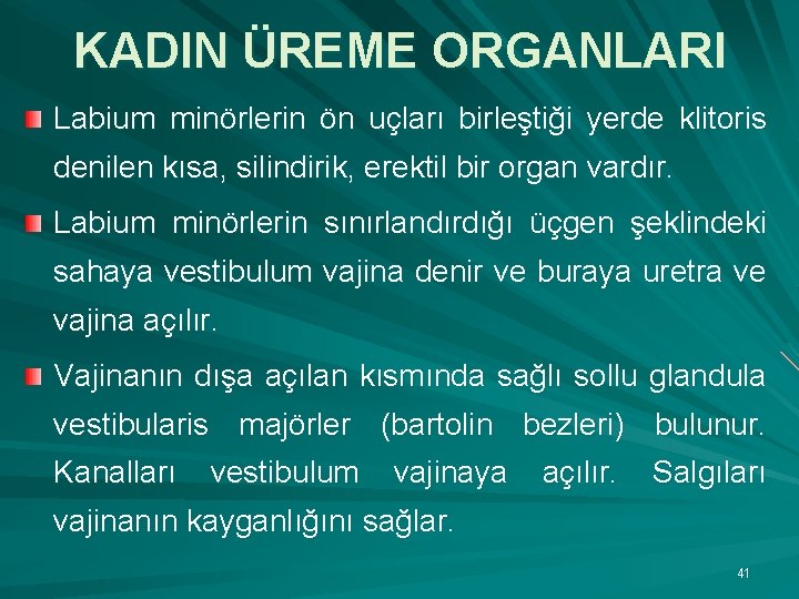 KADIN ÜREME ORGANLARI Labium minörlerin ön uçları birleştiği yerde klitoris denilen kısa, silindirik, erektil