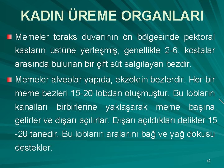 KADIN ÜREME ORGANLARI Memeler toraks duvarının ön bölgesinde pektoral kasların üstüne yerleşmiş, genellikle 2