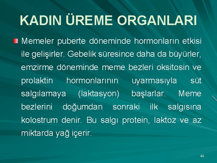 KADIN ÜREME ORGANLARI Memeler puberte döneminde hormonların etkisi ile gelişirler. Gebelik süresince daha da