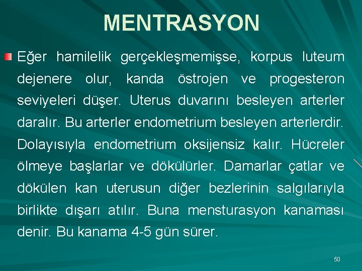 MENTRASYON Eğer hamilelik gerçekleşmemişse, korpus luteum dejenere olur, kanda östrojen ve progesteron seviyeleri düşer.