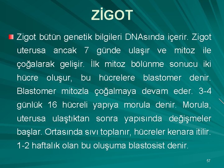 ZİGOT Zigot bütün genetik bilgileri DNAsında içerir. Zigot uterusa ancak 7 günde ulaşır ve