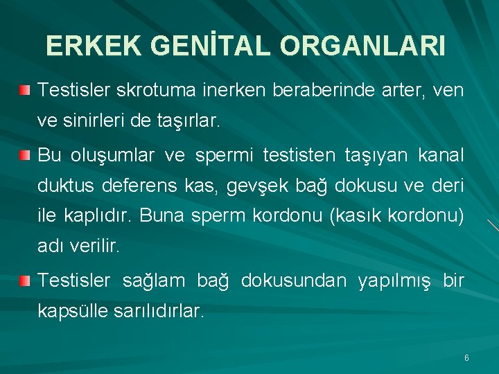 ERKEK GENİTAL ORGANLARI Testisler skrotuma inerken beraberinde arter, ven ve sinirleri de taşırlar. Bu