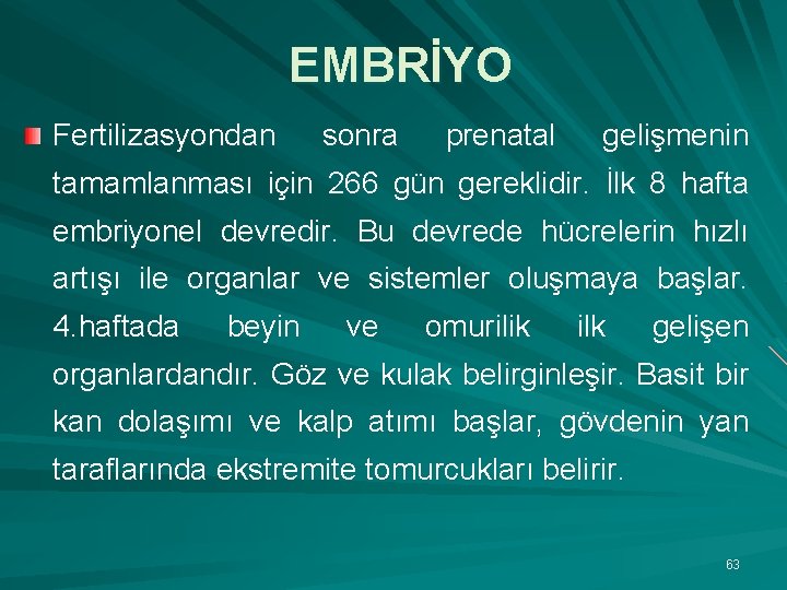 EMBRİYO Fertilizasyondan sonra prenatal gelişmenin tamamlanması için 266 gün gereklidir. İlk 8 hafta embriyonel