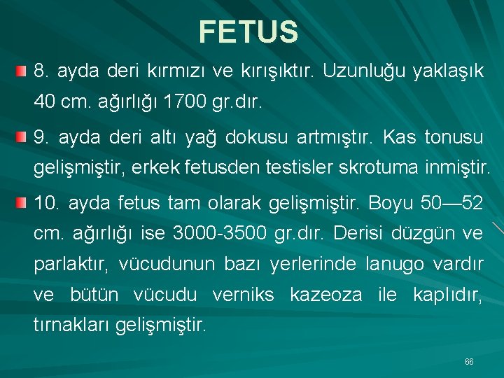 FETUS 8. ayda deri kırmızı ve kırışıktır. Uzunluğu yaklaşık 40 cm. ağırlığı 1700 gr.