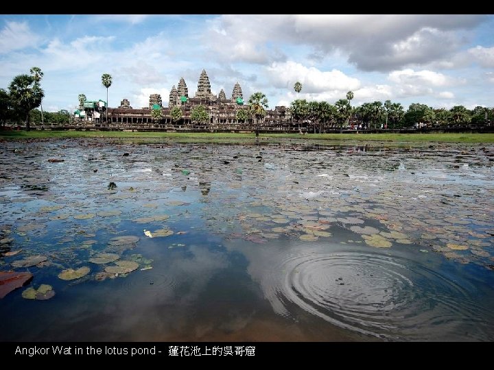 Angkor Wat in the lotus pond - 蓮花池上的吳哥窟 