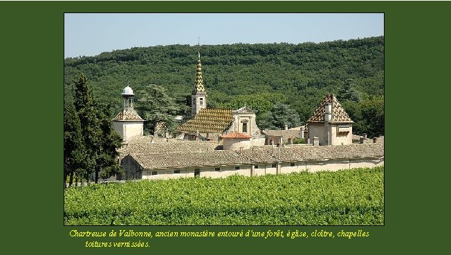 Chartreuse de Valbonne, ancien monastère entouré d’une forêt, église, cloître, chapelles toitures vernissées. 