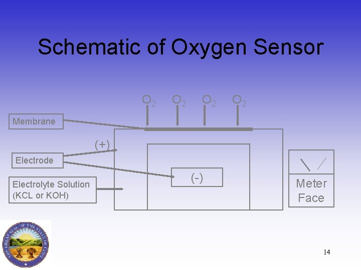 Schematic of Oxygen Sensor O 2 O 2 Membrane (+) Electrode Electrolyte Solution (KCL