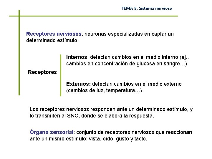 TEMA 9. Sistema nervioso Receptores nerviosos: neuronas especializadas en captar un determinado estímulo. Internos: