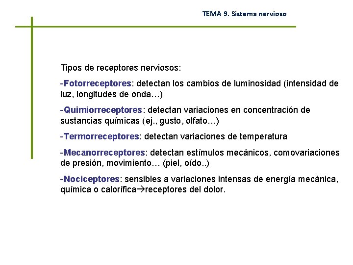 TEMA 9. Sistema nervioso Tipos de receptores nerviosos: -Fotorreceptores: detectan los cambios de luminosidad