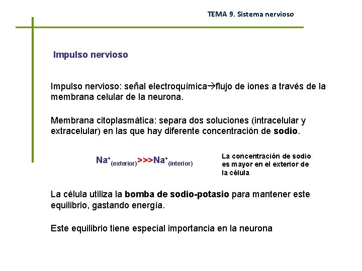 TEMA 9. Sistema nervioso Impulso nervioso: señal electroquímica flujo de iones a través de