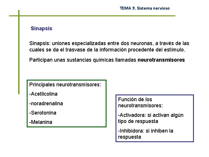 TEMA 9. Sistema nervioso Sinapsis: uniones especializadas entre dos neuronas, a través de las