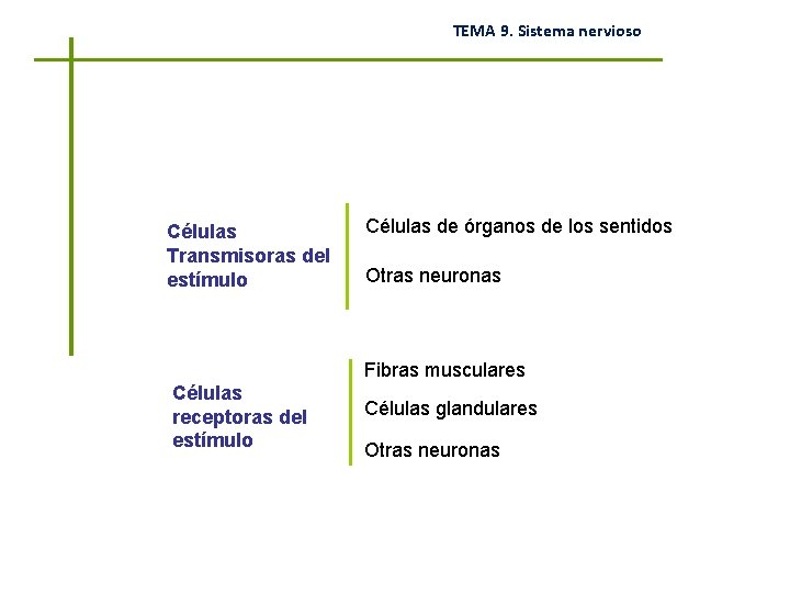 TEMA 9. Sistema nervioso Células Transmisoras del estímulo Células de órganos de los sentidos