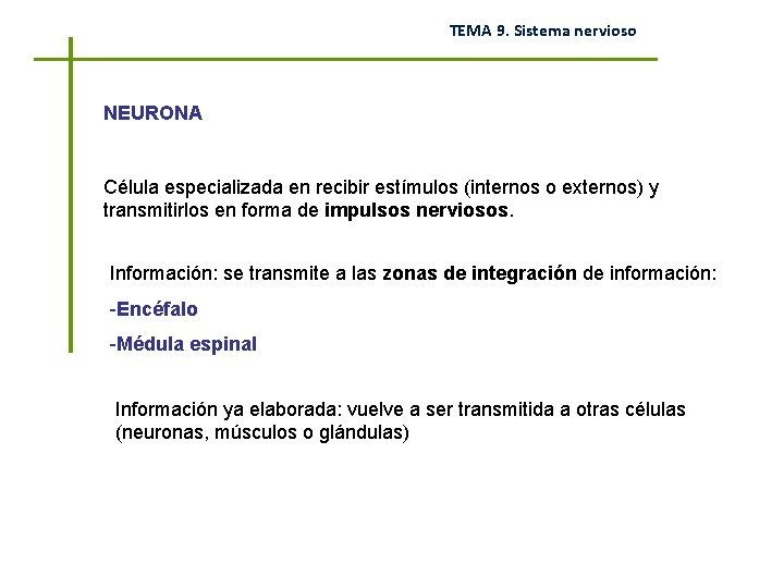 TEMA 9. Sistema nervioso NEURONA Célula especializada en recibir estímulos (internos o externos) y