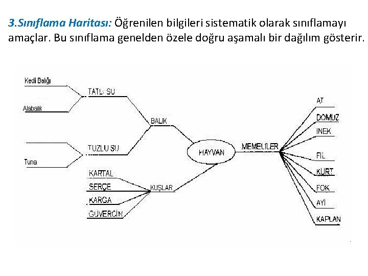 3. Sınıflama Haritası: Öğrenilen bilgileri sistematik olarak sınıflamayı amaçlar. Bu sınıflama genelden özele doğru