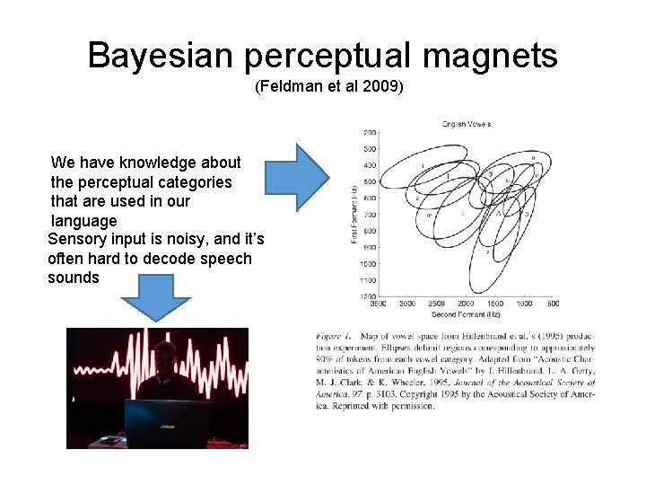 Bayesian perceptual magnets (Feldman et al 2009) We have knowledge about the perceptual categories