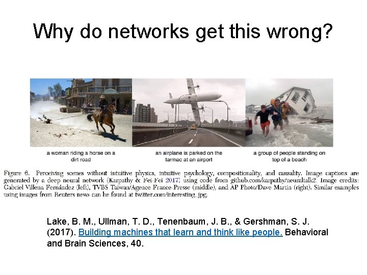 Why do networks get this wrong? Lake, B. M. , Ullman, T. D. ,