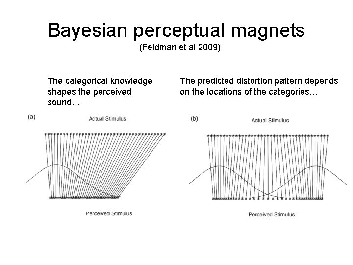 Bayesian perceptual magnets (Feldman et al 2009) The categorical knowledge shapes the perceived sound…