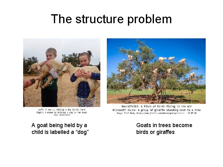 The structure problem A goat being held by a child is labelled a “dog”
