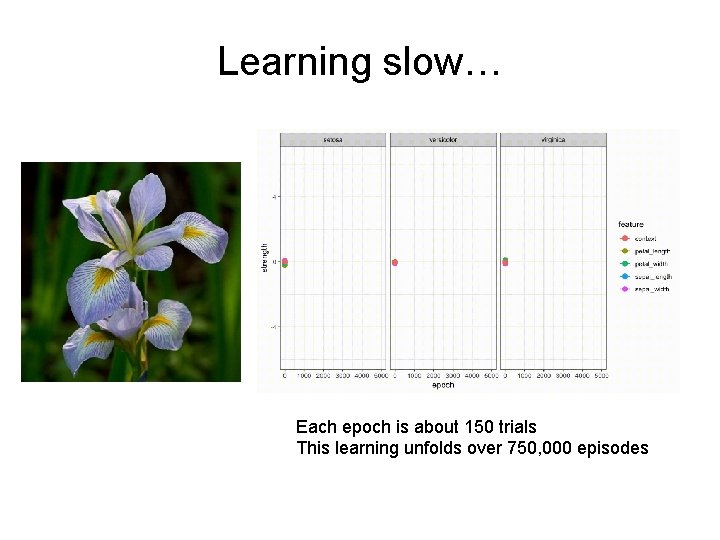 Learning slow… Each epoch is about 150 trials This learning unfolds over 750, 000