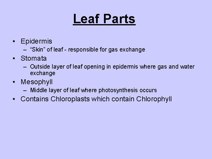 Leaf Parts • Epidermis – “Skin” of leaf - responsible for gas exchange •