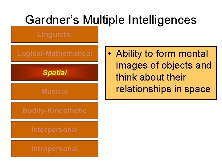 Gardner’s Multiple Intelligences Linguistic Logical-Mathematical Spatial Musical Bodily-Kinesthetic Interpersonal Intrapersonal • Ability to form