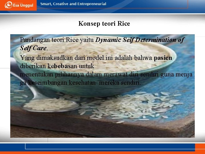 Konsep teori Rice Pandangan teori Rice yaitu Dynamic Self Determination of Self Care. Yang