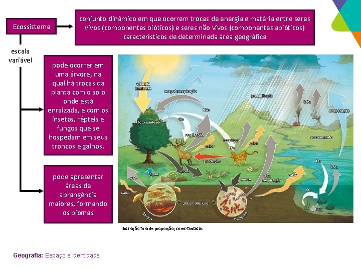 Ecossistema escala variável conjunto dinâmico em que ocorrem trocas de energia e matéria entre