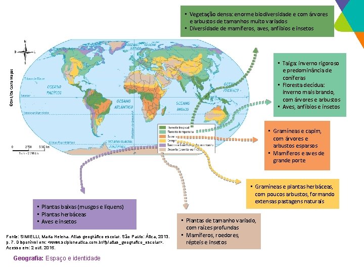  • Vegetação densa: enorme biodiversidade e com árvores e arbustos de tamanhos muito