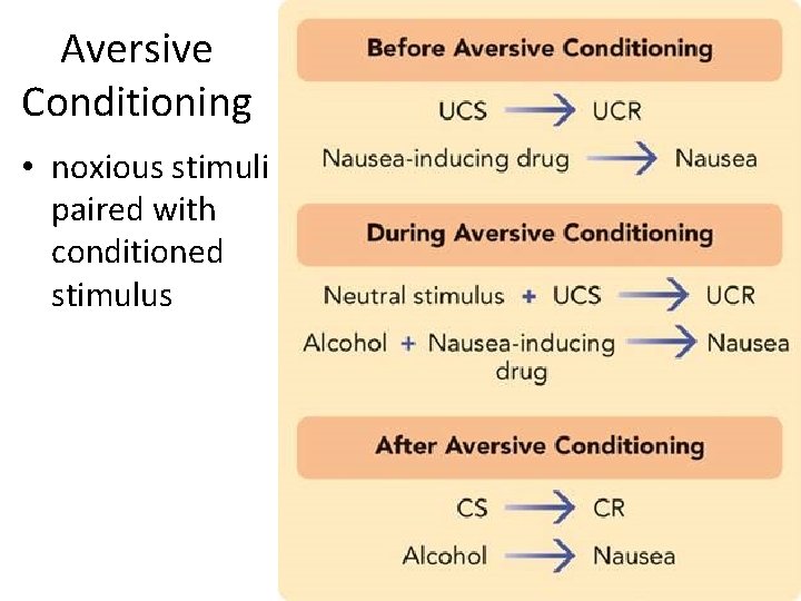 Aversive Conditioning • noxious stimuli paired with conditioned stimulus 