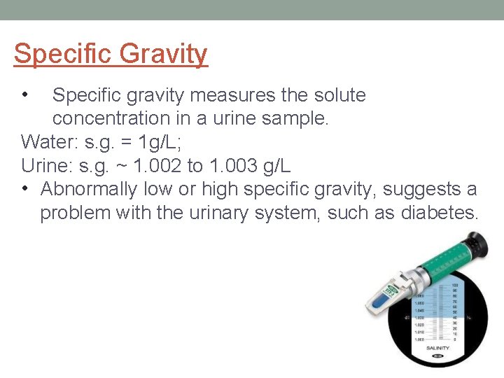 Specific Gravity • Specific gravity measures the solute concentration in a urine sample. Water: