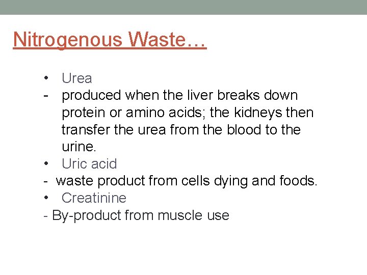 Nitrogenous Waste… • Urea - produced when the liver breaks down protein or amino